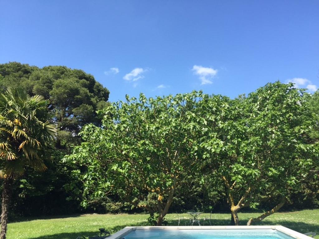 Domaine De La Forcate Apartment Villesiscle Luaran gambar