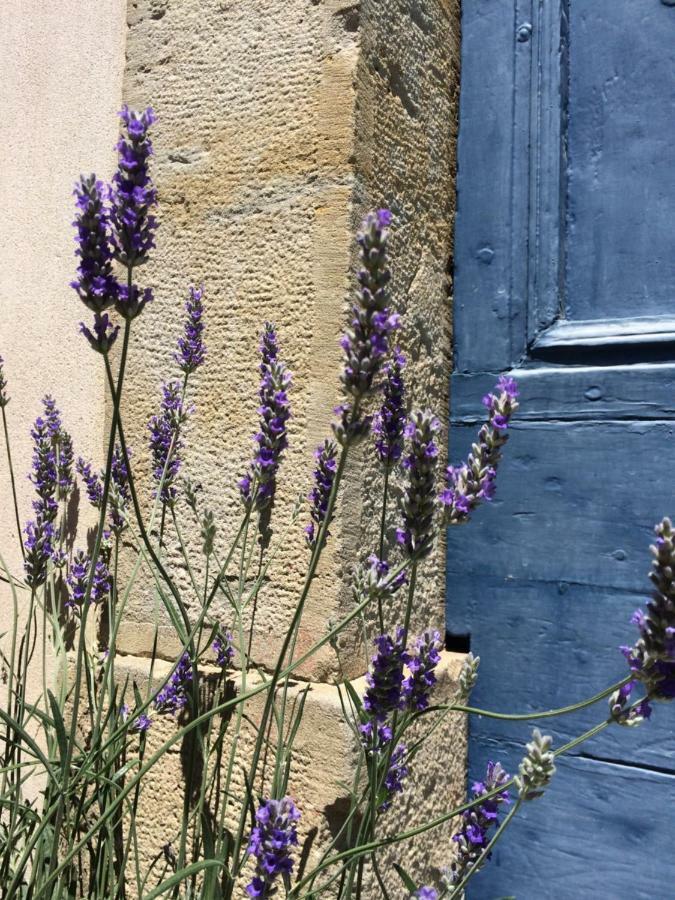 Domaine De La Forcate Apartment Villesiscle Luaran gambar