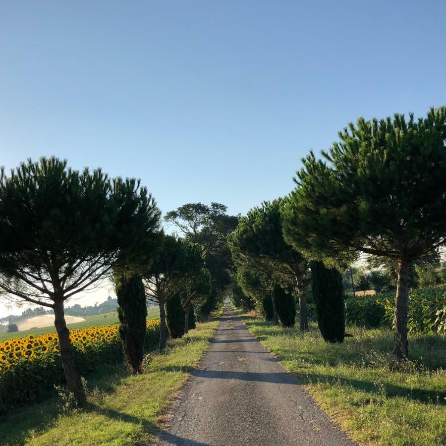 Domaine De La Forcate Apartment Villesiscle Luaran gambar