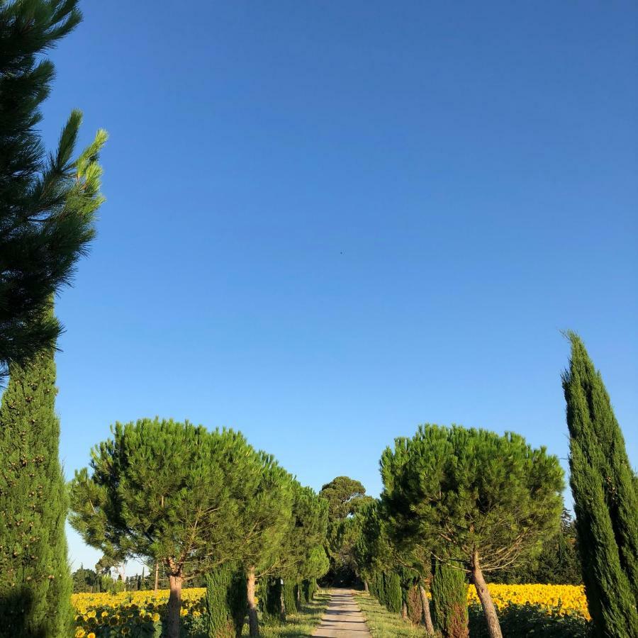 Domaine De La Forcate Apartment Villesiscle Luaran gambar