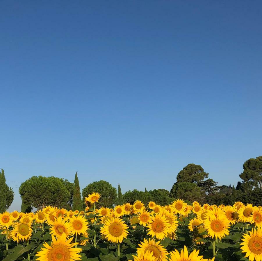 Domaine De La Forcate Apartment Villesiscle Luaran gambar